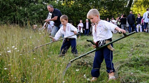 Sečení luk na Soláni