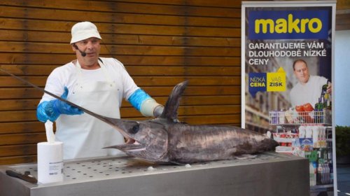 Vítání léta na Horalu